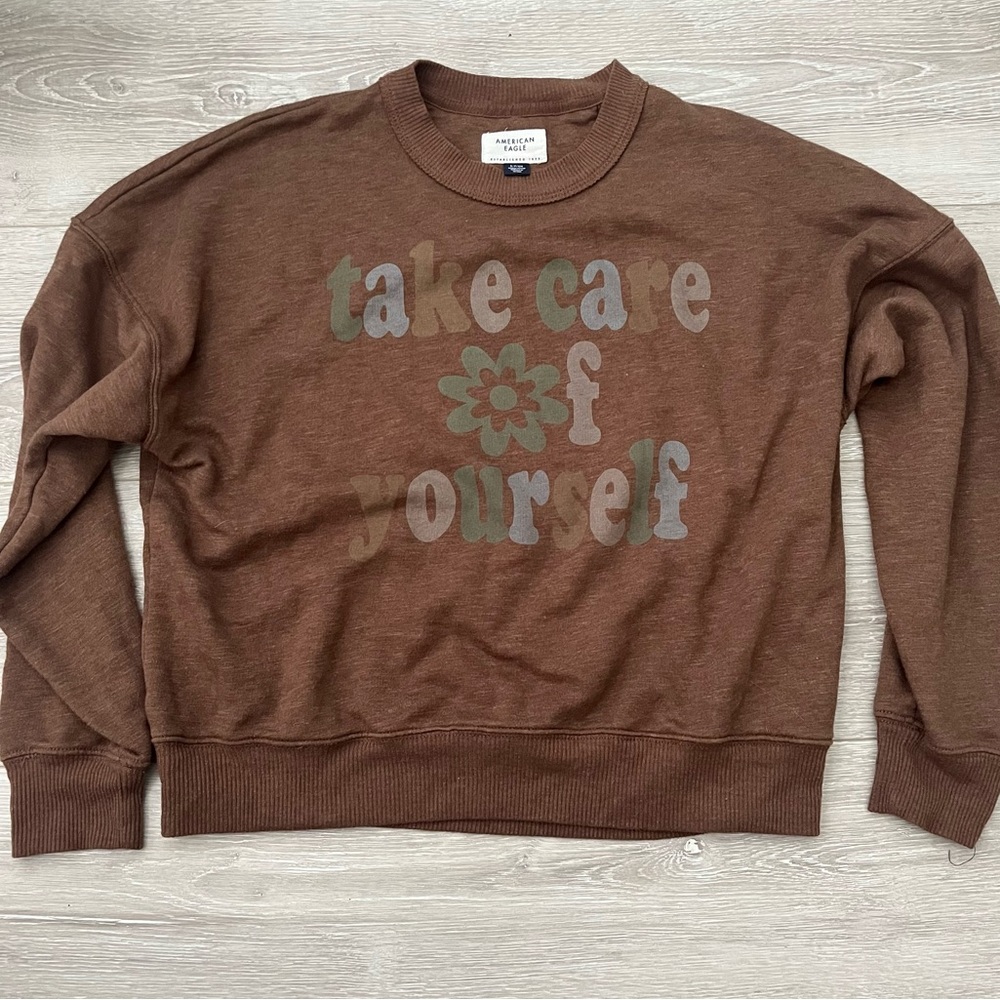 Amweican Eagle Brown Crewneck Sweater